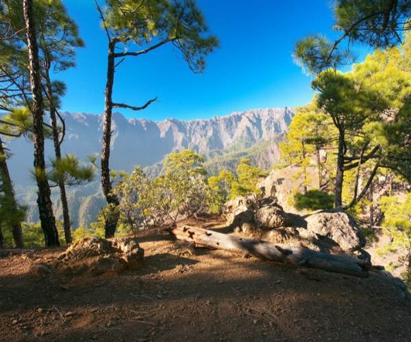 La Palma aux Canaries